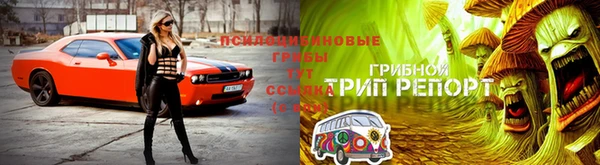 ешки Балабаново