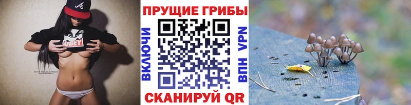Псилоцибиновые грибы мицелий  Колпашево 