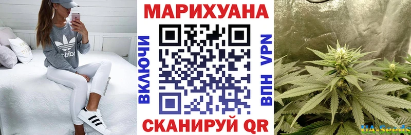 купить наркотики сайты  Колпашево  Конопля тримм 